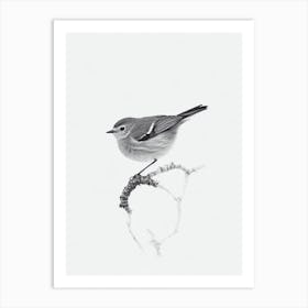 Robin B&W Pencil Drawing 1 Bird Art Print