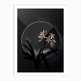 Shadowy Vintage Pancratium Illyricum Botanical in Black and Gold Art Print