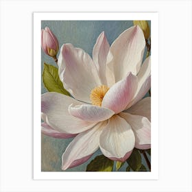 Magnolia no2 Art Print