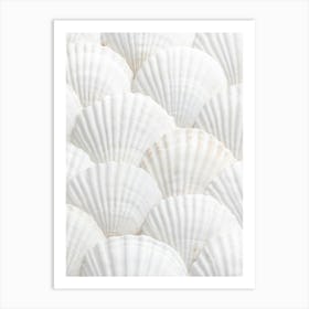 Pattern of shells_2110342 Art Print