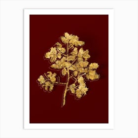 Vintage Kermes Oak Botanical in Gold on Red n.0245 Art Print