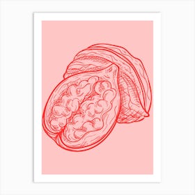 Pomegranate 1 Art Print