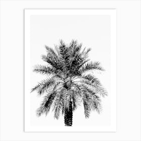 Black And White Tropical Palm Tree  Art Print