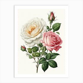 Vintage Galleria Style Rose Art Painting 33 Art Print