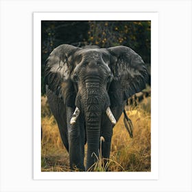 Elephants In The Wild 1 Art Print