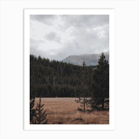 Pine Tree Valley Art Print