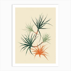 Air Plant Plant Minimalist Illustration 1 Art Print