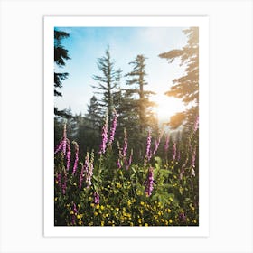 Wildflowers In The Mountains 1 Art Print