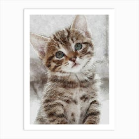 Cat Cute. Art Print