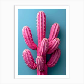 pink cactus ii Art Print