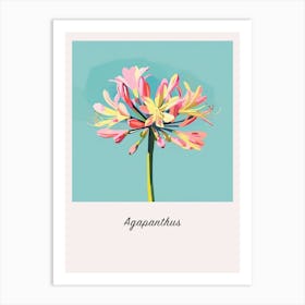 Agapanthus 3 Square Flower Illustration Poster Art Print