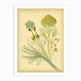 Fennel Seeds Spices And Herbs Retro Drawing 2 Art Print