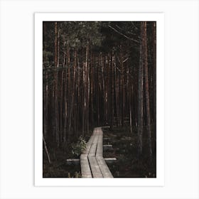 Wooden Hiking Path Art Print