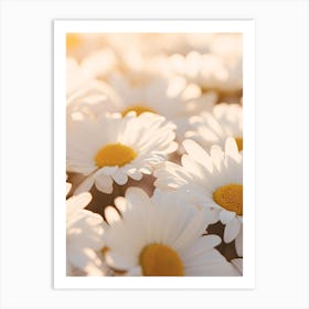 Daisy Field Art Print