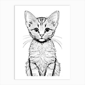 Kitten  Art Print