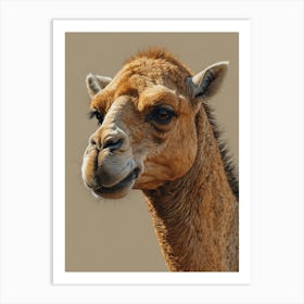 Camel Portrait Art Print