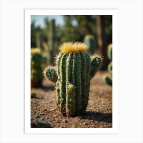 Cactus Art Print