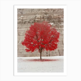 Red Maple Tree Art Print