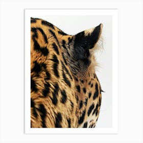 Jaguar 8 Art Print