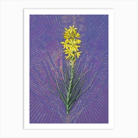 Vintage Yellow Asphodel Botanical Illustration on Veri Peri n.0190 Art Print