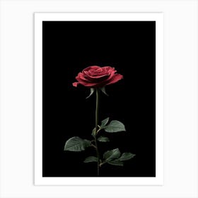 Single Red Rose On Black Background 19 Art Print