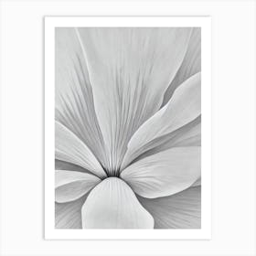 Lotus B&W Pencil 1 Flower Art Print