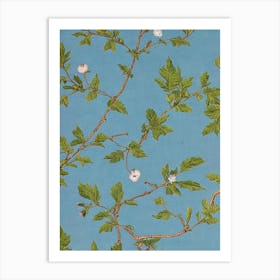 Chinese Pistache 2 tree Vintage Botanical Art Print