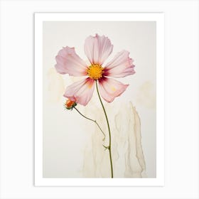 Pressed Flower Botanical Art Cosmos 1 Art Print