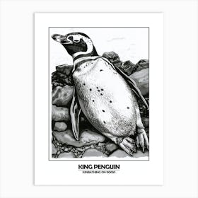 Penguin Sunbathing On Rocks Poster 7 Art Print
