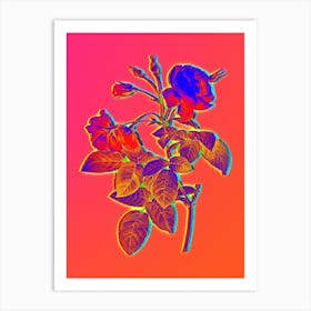 Neon Pink Boursault Rose Botanical in Hot Pink and Electric Blue n.0340 Art Print