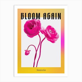 Hot Pink Ranunculus Poster Art Print