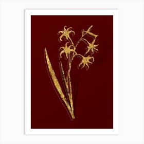 Vintage Gladiolus Cuspidatus Botanical in Gold on Red n.0530 Art Print