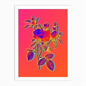 Neon Cabbage Rose Botanical in Hot Pink and Electric Blue n.0303 Art Print