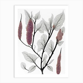 Seeds Ripening Nature Art Print