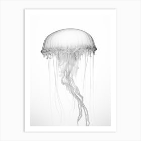 Box Jellyfish Drawing 5 Art Print