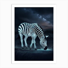 Zebra At Night Art Print