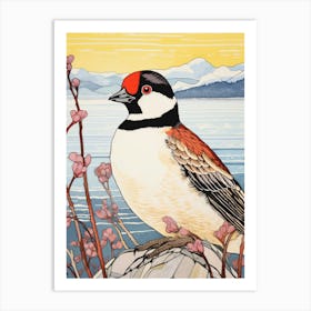 Bird Illustration Bufflehead 4 Art Print