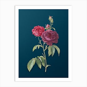 Vintage Purple Roses Botanical Art on Teal Blue n.0887 Art Print