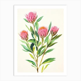 Proteas 2 Vintage Flowers Flower Art Print