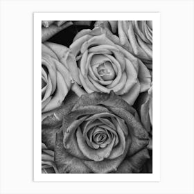 Vintage Style Roses Black And White Copy Art Print