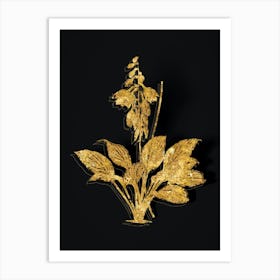 Vintage Daylily Botanical in Gold on Black n.0241 Art Print