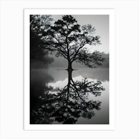 Lone Tree 9 Art Print