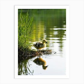 Baby Duckling White And Yellow With A Fluffy Head Perching Precariously On The Edge Of A Crystal 2 Art Print