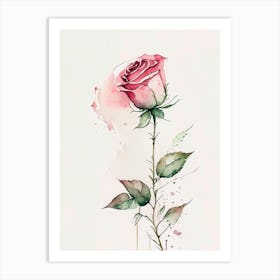 Rose Herb Minimalist Watercolour 3 Art Print