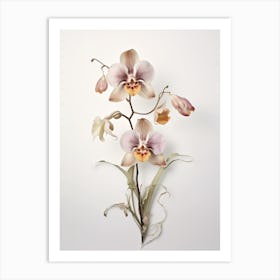 Pressed Flower Botanical Art Monkey Orchid Art Print