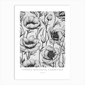 Cosmos B&W Vintage Botanical Poster Art Print