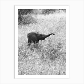 Baby Elephant In The Grass Art Print