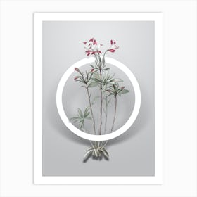 Vintage Lily of the Incas Minimalist Botanical Geometric Circle on Soft Gray Art Print