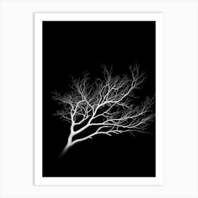 Bare Tree Art Print