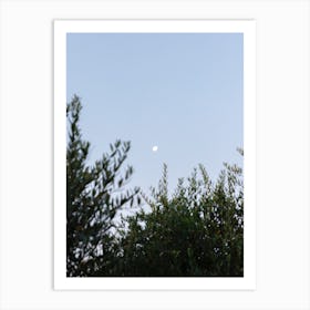 The Moon And Olive Tree Art Print